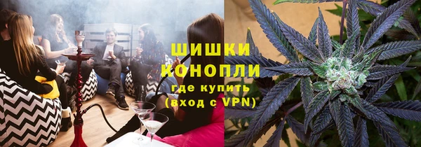 тгк Нея